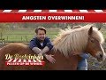 Dave Roelvink op een PAARD! Gaat dat wel goed? | De Roelvinkjes passen op de winkel