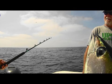 Yellowfin Tuna GoPro The Reel Brother Presents