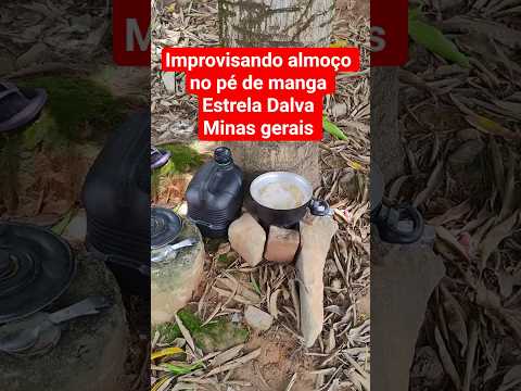 almoço de baixo do pé de manga estrela Dalva MG #cicloviagem #cicloviajante # nômade #camping