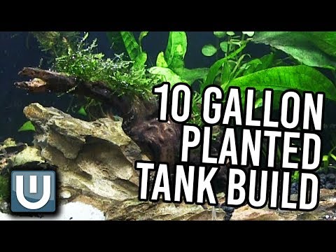 10g Planted Tank Aquarium Build