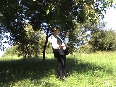 MIHAI MISTI - LA FEIURD INTRE HOTARE