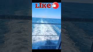 BEST VIEW | MDR CARNIVAL BREEZE