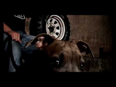 Big Derill Mack, Fucking Fella, Kralle - Geld aus der Potte (VIDEO)