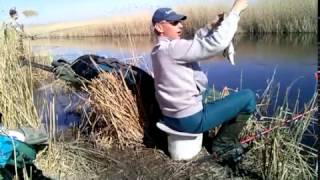 Где ловить таранку в краснодарском крае