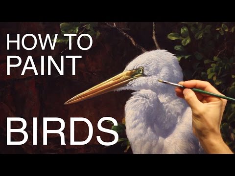 How to Paint Birds: EPISODE THREE - The Egret and Brahminy Kites