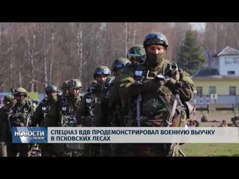 23.04.2019 / Спецназ ВДВ продемонстрировал военную выучку в псковских лесах