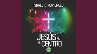 No Hay Palabras (feat. Lucia Parker)