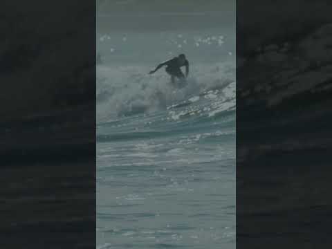 Bondi Sunrise Surf - Mellow Daze