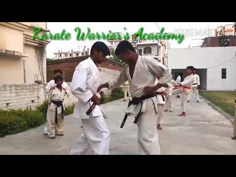 Bharatiye kyokushin karate