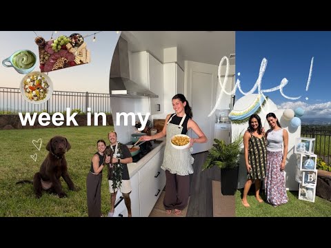 weekly vlog | life with a puppy, hosting at home, & an honest chat