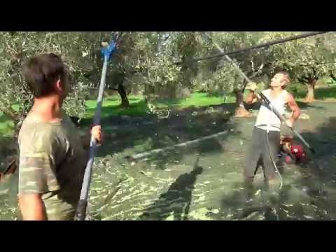 ΕΛΑΙΟΡΑΒΔΙΣΤΙΚΟ ATRAX ELECTRIC 4-thumb-1