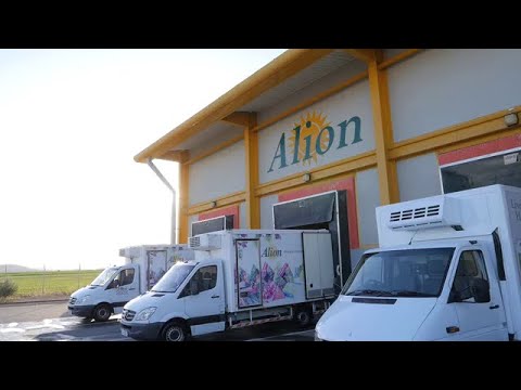 Alion has all the ingredients for vigorous growth in SAP Business One