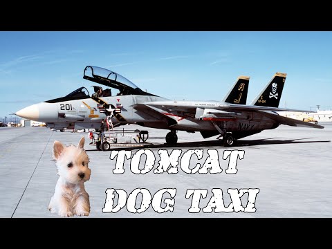 F-14 TOMCAT Dog Taxi | Mover Clips