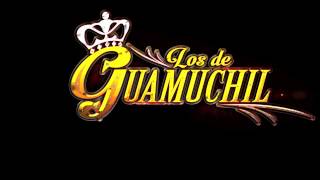 Los De Guamuchil - Amor Culichi
