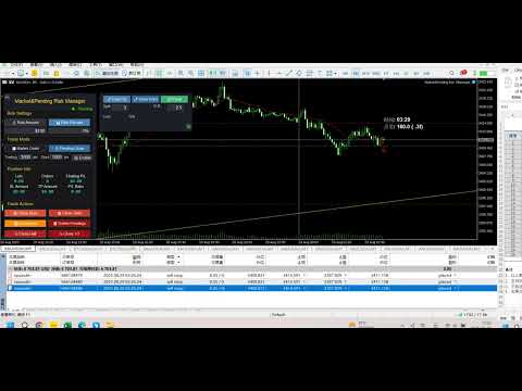 Video Market Pending Risk Mananger MT4