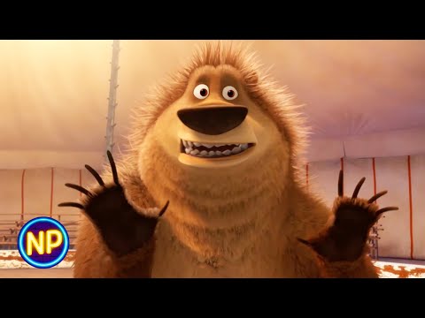 Boog Can't Dance | Open Season 3