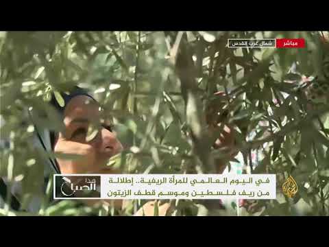 هذا الصباح باليوم العاملي للمرأة الريفية.. إطلالة من ريف فلسطين