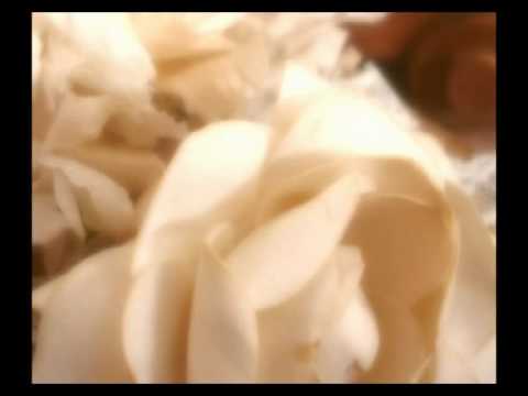 Mladi Apostoli mira - Ljubav je pronašla put