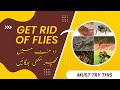 Makhiyan Bhagany Ka Asan Tarika | get rid of Flies in Rainy Season | beauty tips with Maryam adnan
