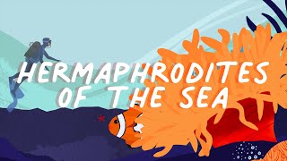 Long Story Shorts: What Kinds of Hermaphrodites Live in the Sea