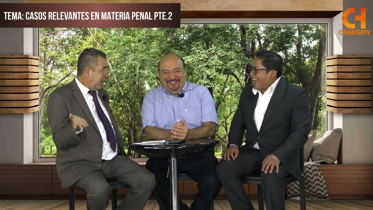 Casos relevantes en materia penal