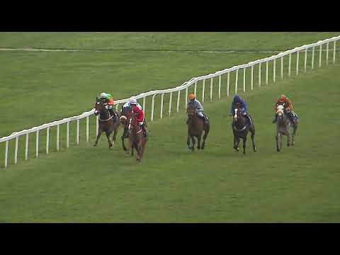 CH - 23. 4. 2023 - 8. dostih - CENA PADDOCKU