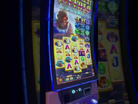 Rowdys Video Review
