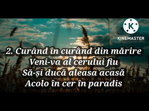 Poporule Sfânt te trezește(Ridică-ți spre ceruri privirea)🪗🎹 Instrumental cu versuri Sorin Alexandru