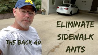 How To Eliminate Sidewalk - Pavement - Driveway Ants