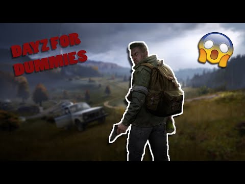 WHEN IMBECILES PLAY DAYZ