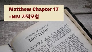 Matthew 17 NIV AUDIO BIBLE (with text)