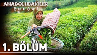 Anadoludakiler 1. Bölüm | Doğu Karadeniz