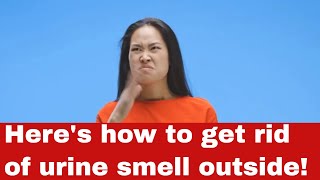 How to Get Rid of Urine Smell Outside [Detailed Guide]