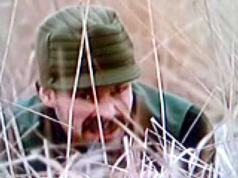 tak for i aften: fugle nørden 2