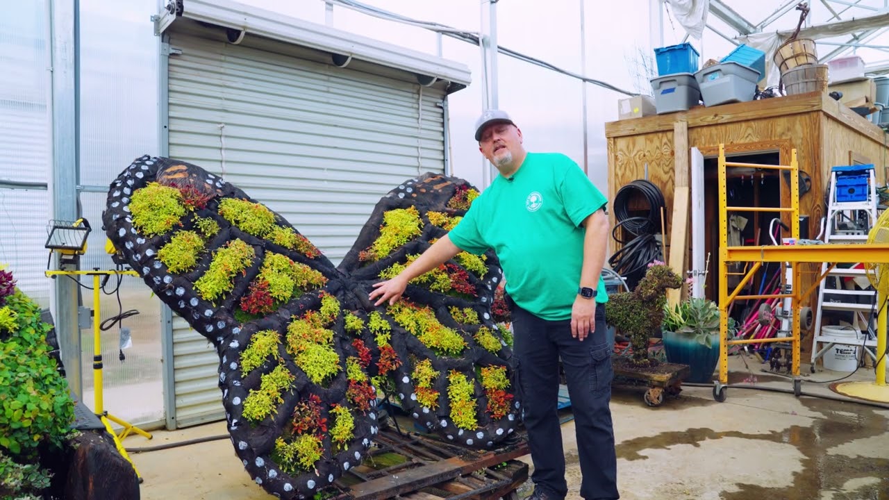 Sweet Caroline, the Butterfly – City of Greenwood Festival of Flowers