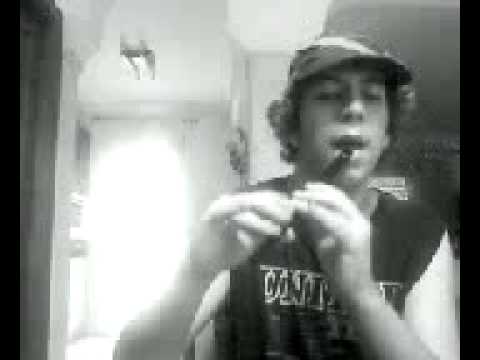 Barcode Brothers  Techno    Flute  Cover On Tin Whistle