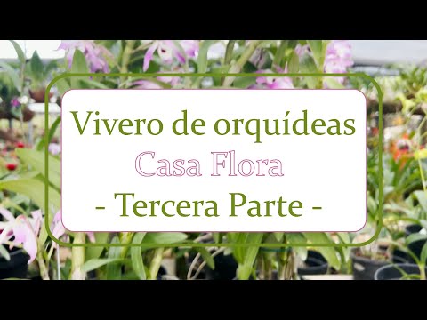 Vivero de orquídeas, Casa Flora | Alma del Bosque - Parte 3