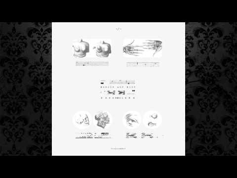 Oscar Mulero - Dualistic Concept (Original Mix) [POLEGROUP]
