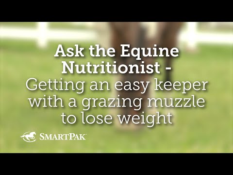 Ask the Equine Nutritionist - Getting an easy keeper with a grazing muzzle to lose weight