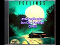 Sun City Feelings 2025 MetroFmCollectorsCorner1