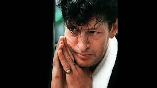 Herman Brood  and His Wild Romance - saga of new york  ( cover - off the rascals)