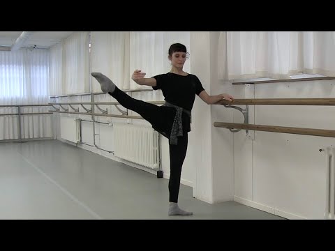 Ballett Übungen an der Stange für Anfänger - Ballet Barre Workout for Beginners