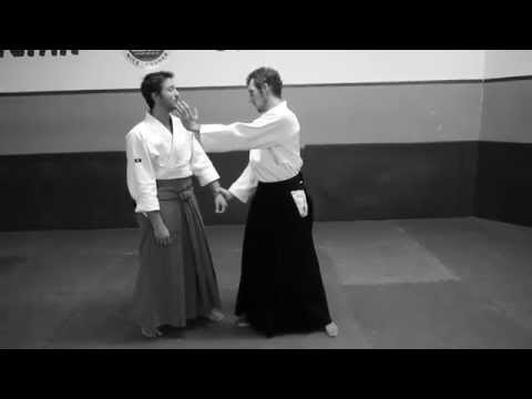 Aikido Kobayashi Ryu Nice