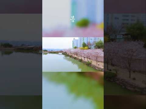 [영천사계] 영천의 산책 명소, 망정 우로지 공원의 사계절 #shorts
