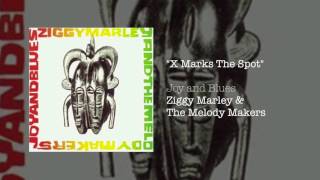 "X Marks The Spot" - Ziggy Marley and the Melody Makers | Joy and Blues