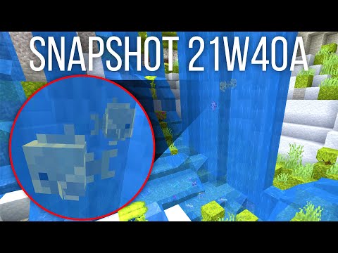 Crazy Minecraft Snapshot 21w40a Tricks!