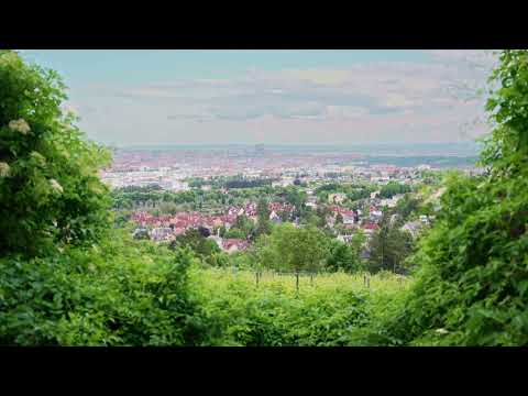 Video thumbnail for Danube