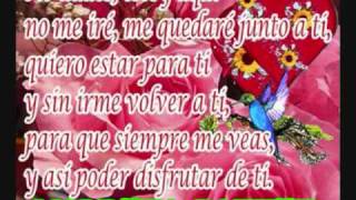 LA OTRA EL PODER DEL NORTE