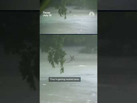 Deer swept away in floodwaters near San Antonio
