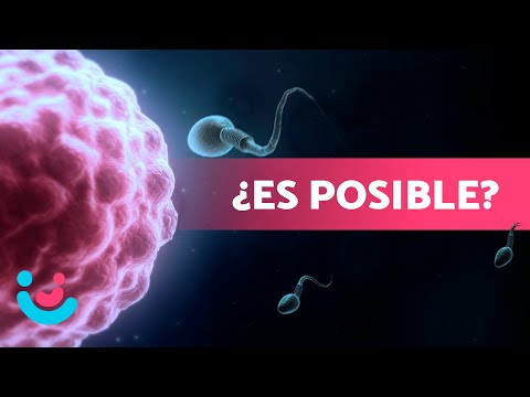 Can I GET PREGNANT days BEFORE my PERIOD? 🤰🏽 When can I get pregnant?